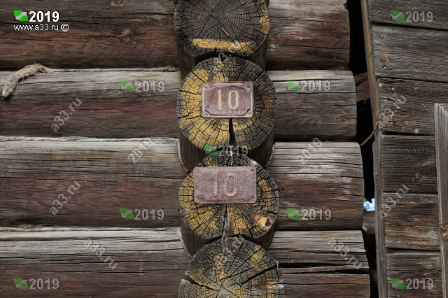 2019    8       