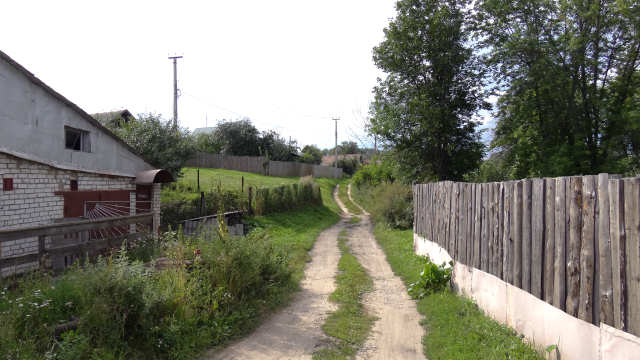 2012           46