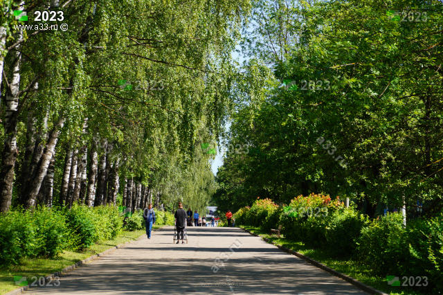 2023 Зелёная зона проспекта Строителей в районе дома 40, город Владимир