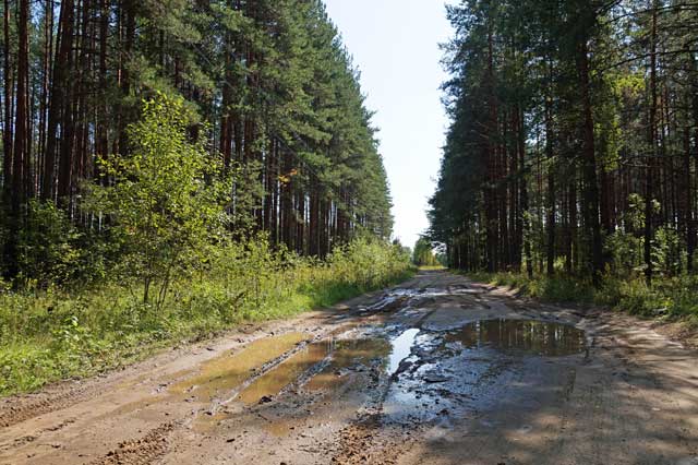 2024 Последний километр до деревни по грунтовой дороге, чтобы заезжему туристу сразу было понятно, куда он попал деревня Чёково Гусь-Хрустального района Владимирской области
