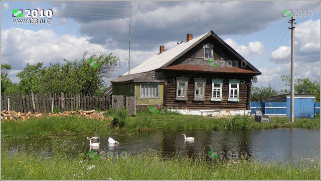 2010  109  ,     -   