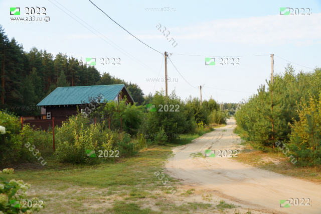 2022 Улица Лесная в деревне Головино Киржачского района Владимирской области в районе дома 13
