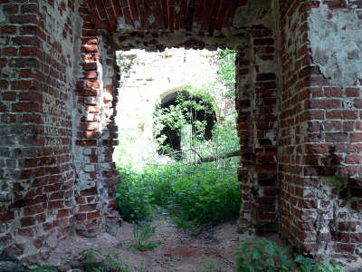 2007       -       