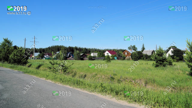         2019 