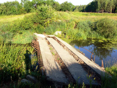 2007       ,         