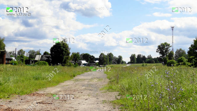 2012 Дальний конец деревни Дмитриево Ковровского района Владимирской области
