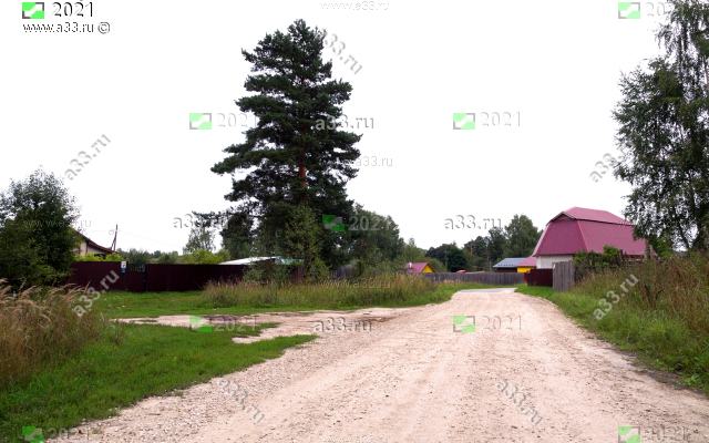 2021 Улица Мира в районе дома 9А, посёлок Труд Петушинского района Владимирской области