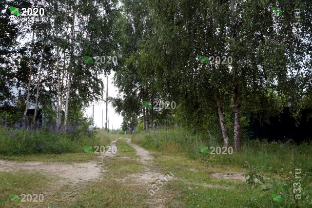 2020 Главная улица деревни Мещера Собинского района Владимирской области в районе дома 3