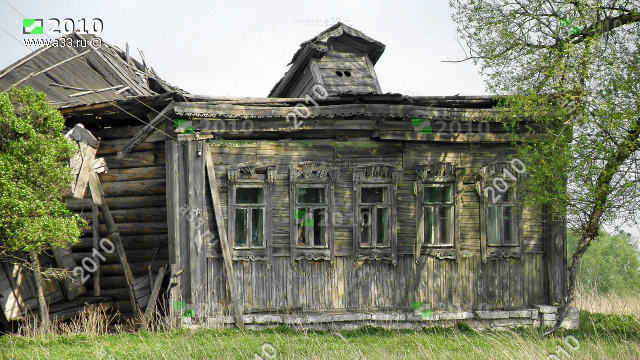  6      