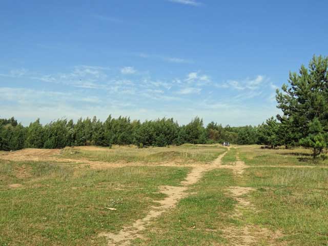 2025 начало территории мотодрома с улицы Центральной деревня Байгуши Судогодского района Владимирской области