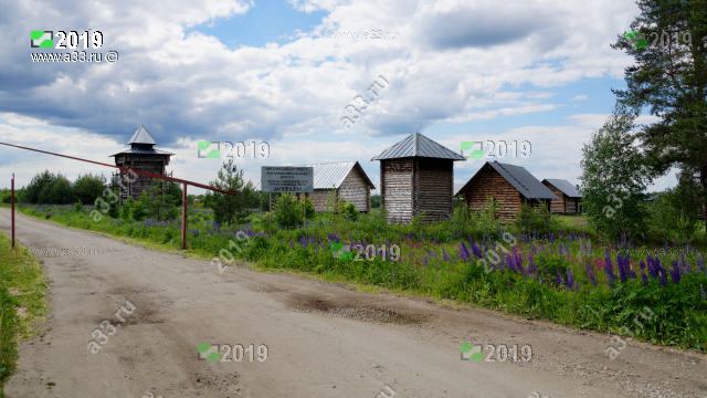 2019       