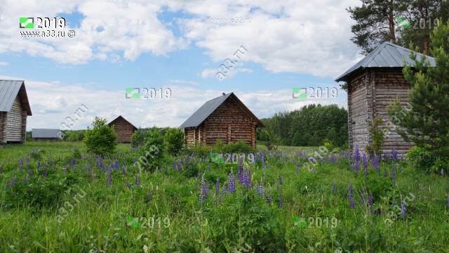2019       