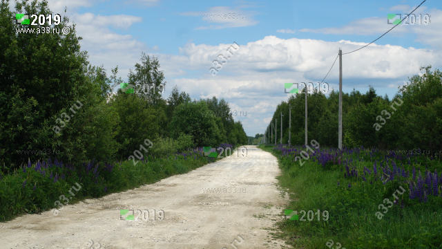 2019          