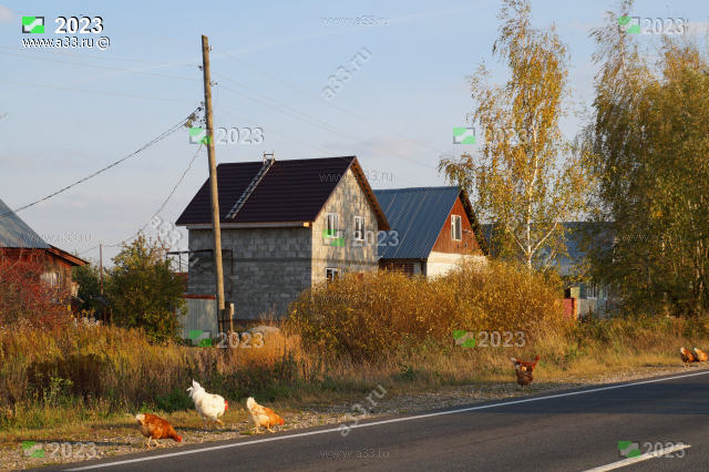 2023 Застройка улицы Дорожной; село Обращиха Суздальского района Владимирской области