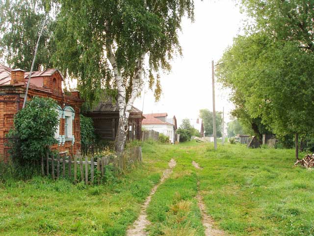 2005          19     