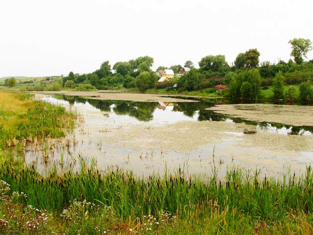 2005          