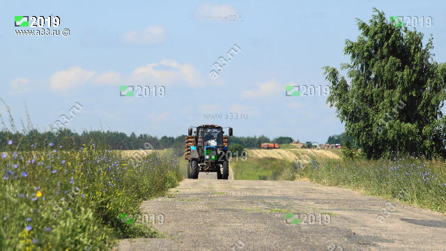 2019        