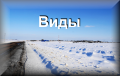 Виды