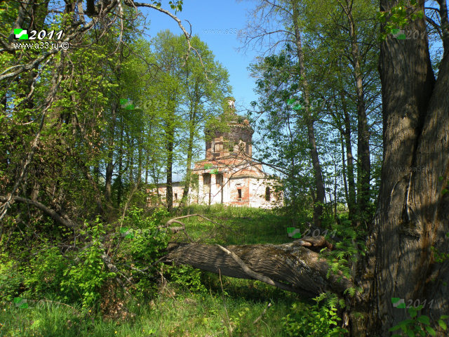 2011 Петропавловская церковь в природном окружении село Большепетровское Юрьев-Польского района Владимирской области