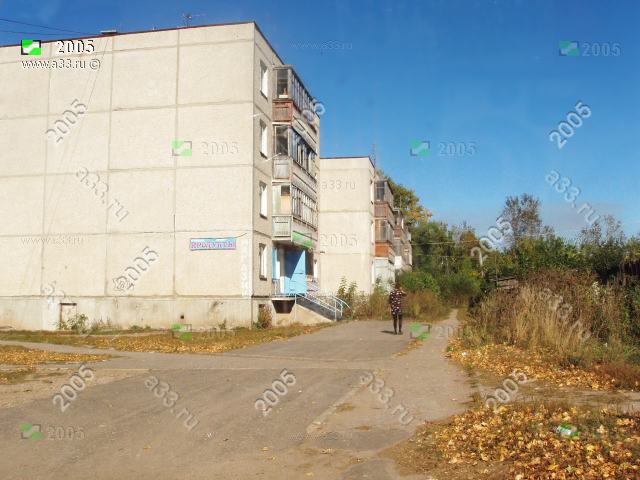 2005            -   