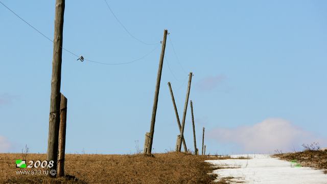2008      -   