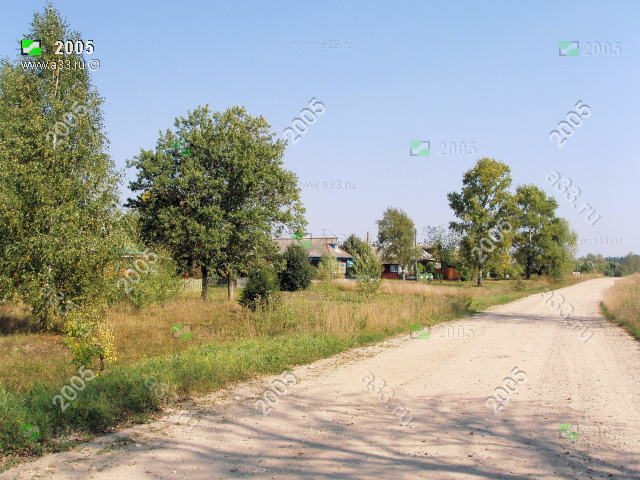 2005      -   