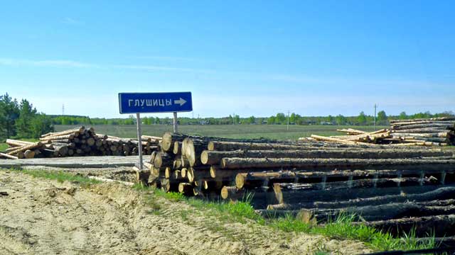 2011 въезд в деревню Глушицы с главной дороги Южа - Новоклязьминское Южский район, Ивановская область