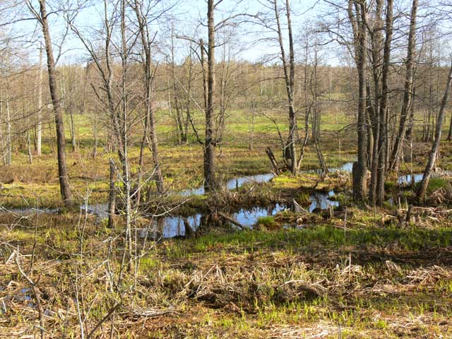 2008 ������, ������, ��������������� ��������� � ������� ������ - ����� ��������� ���� �������������� ������� ����������� ������ ���������� �������